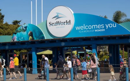 Woman Is Suing SeaWorld After Being Struck In The Face By A Bird