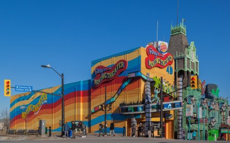 Bear Gets Stuck on the Roof of Popular Attraction (Video)