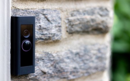 Very Rare Animal Shows up on Pennsylvania Doorbell Cam