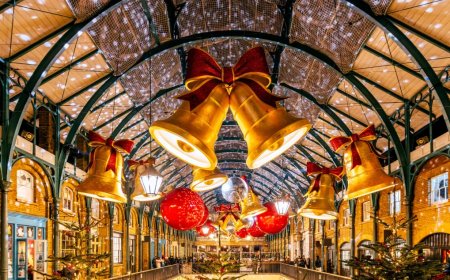 Deer Got Lost And Barreled Into A Christmas Shop – Video Here