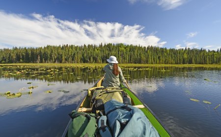 ‘You’d Have Better Luck Spotting a Unicorn’: Rare Animal in Alaska