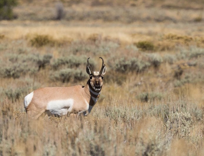 Crisp Air and Open Skies: Fall Camping in Southeastern Montana