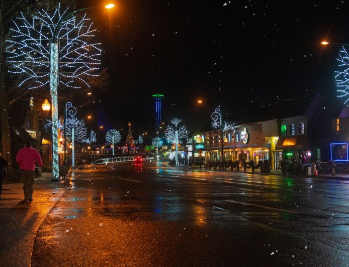 WATCH: Black Bear in Tennessee Loves Christmas Decorations