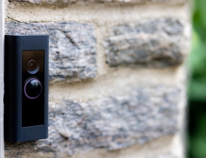 Very Rare Animal Shows up on Pennsylvania Doorbell Cam