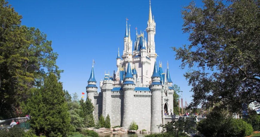 Disney Diners Get A Surpise Visit From An Opossum During Dinner