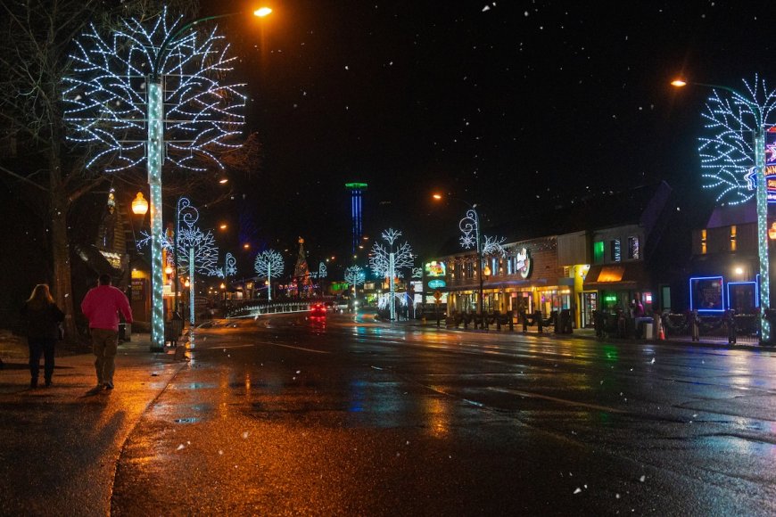 WATCH: Black Bear in Tennessee Loves Christmas Decorations