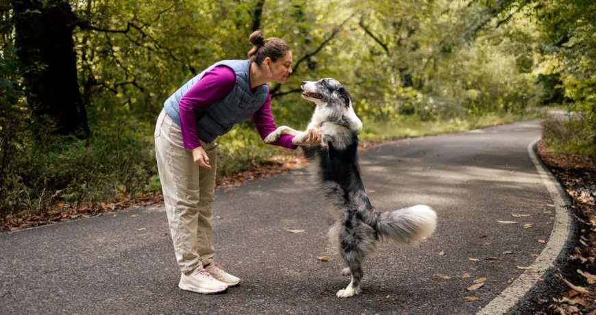 Meet Chicken: The Huge Emotional Support Dog With A Surprising Twist