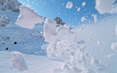‘Today I Triggered an Avalanche’: Skier and Dog Have a Close Call
