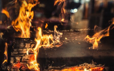 Dog Nearly Burns House Down After Chewing Through Heated Glove