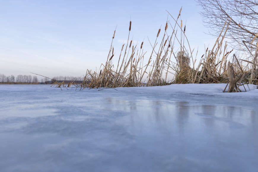 WATCH: Rescuers Save Horse Named ‘Frosty’ From Frozen Pond