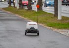 Funny Video: Heavy Rain Proves Too Much for This Delivery Robot