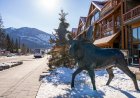 A Real Moose Cozies up With a Moose Statue (Video)