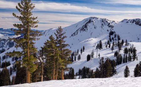 California Biologists Announce Sighting of Incredibly Rare Mammal
