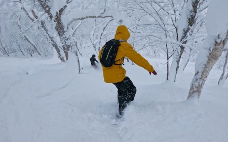 ‘You Saved My Life’: Strangers Rescue Snowboarder (Video)
