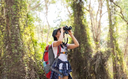 Citizen Science: Join the Great Backyard Bird Count This Weekend