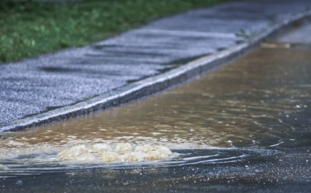 Man Goes Street Surfing After Heavy Flooding in Long Beach