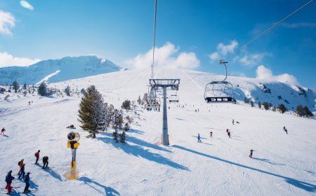 WATCH: Bears Cause Havoc as They Dash Across Busy Ski Run