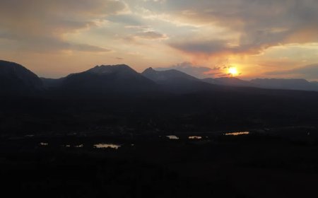 Dog Stranded In The Colorado Rockies For 43 Is Finally Rescued