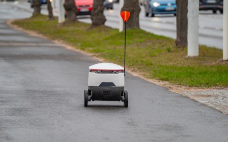 Funny Video: Heavy Rain Proves Too Much for This Delivery Robot