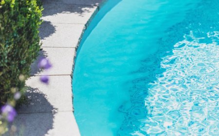 Rescuer Notices Exhausted Wild Animal Clinging To Edge Of A Pool
