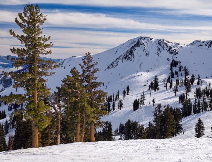 California Biologists Announce Sighting of Incredibly Rare Mammal