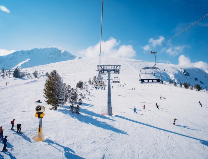 WATCH: Bears Cause Havoc as They Dash Across Busy Ski Run