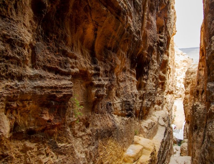 Mountain Goat on Cliffside in Jordan Shocks Everyone, Goes Viral