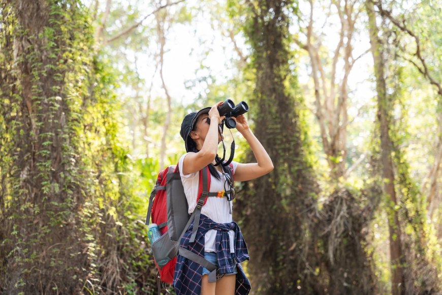 Citizen Science: Join the Great Backyard Bird Count This Weekend