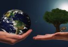 How to Support World Habitat Day, 2023