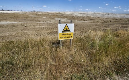 Missing Florida Man Discovered Shoulder-Deep in Quicksand