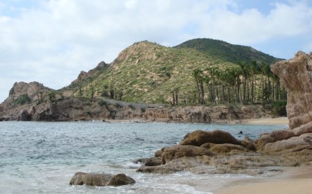 What in the World Did These Beach-Goers Stumble Upon in Cabo?