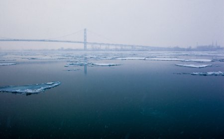 ‘Oh Deer!’: Deer Stranded on a Chunk of Ice in Detroit River