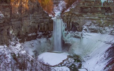 A Young Dog Fell Down A Cliff And Is Stranded For Over Two Hours Before Firefighters Rescued Him