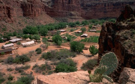 Viral Video: ‘Did Y’all Know People Live in the Grand Canyon?’