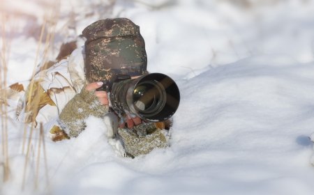 ’15 Photographers Held Their Breath’—See the Anticipated Moment