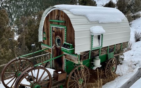 Host of the Month for November 2023 | Theresa | Colorado, USA