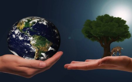 How to Support World Habitat Day, 2023