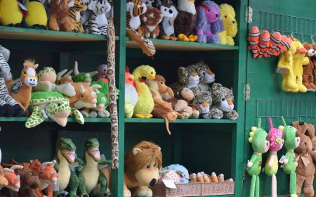 ‘Cheeky’ Animal Finds Clever Hiding Spot in Airport Gift Shop