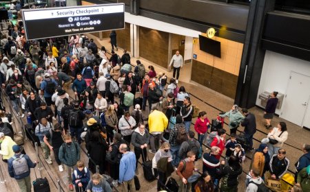 Travel Experts Share Tips On How To Deal With Increasing TSA Lines