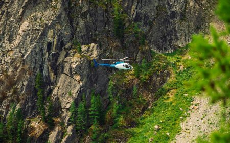 Rescuers Help Woman Who Got Stuck on a Cliff in a Bikini