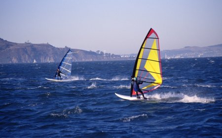 ‘Whale of a Day’: Man Collides With Whale While Windsurfing