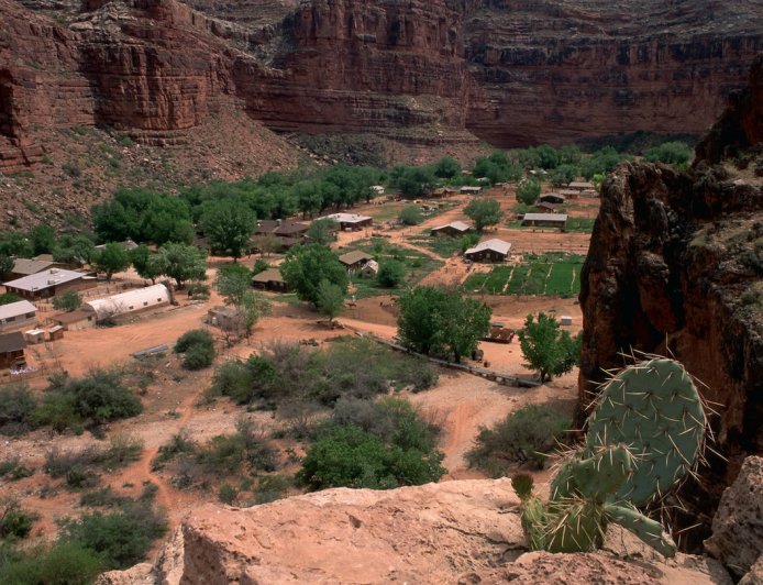 Viral Video: ‘Did Y’all Know People Live in the Grand Canyon?’
