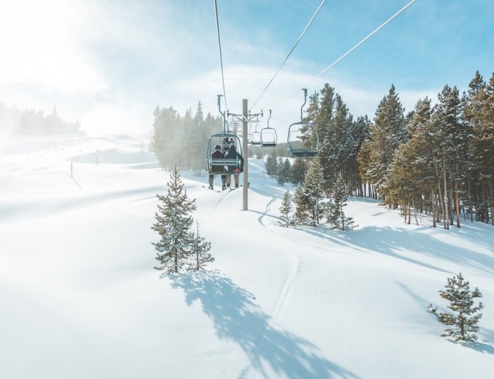 Can You Guess the Random Animal Skiers Spotted on the Slopes?