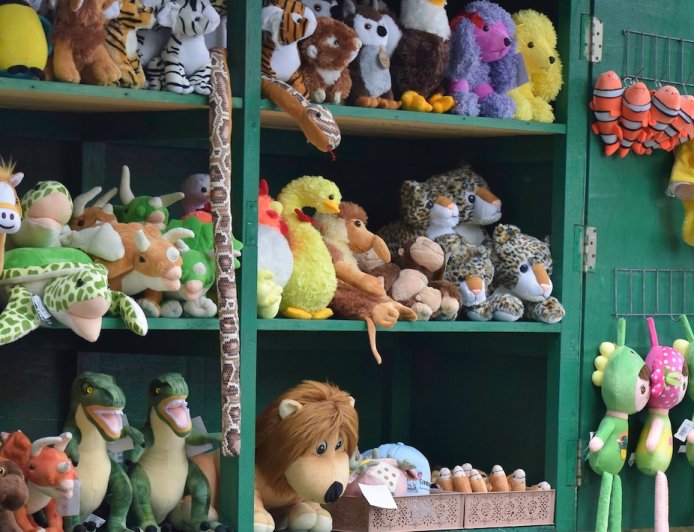 ‘Cheeky’ Animal Finds Clever Hiding Spot in Airport Gift Shop