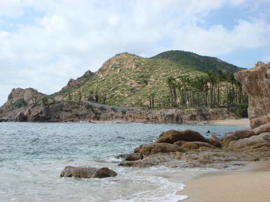 What in the World Did These Beach-Goers Stumble Upon in Cabo?