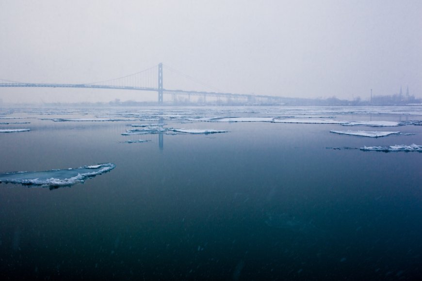 ‘Oh Deer!’: Deer Stranded on a Chunk of Ice in Detroit River