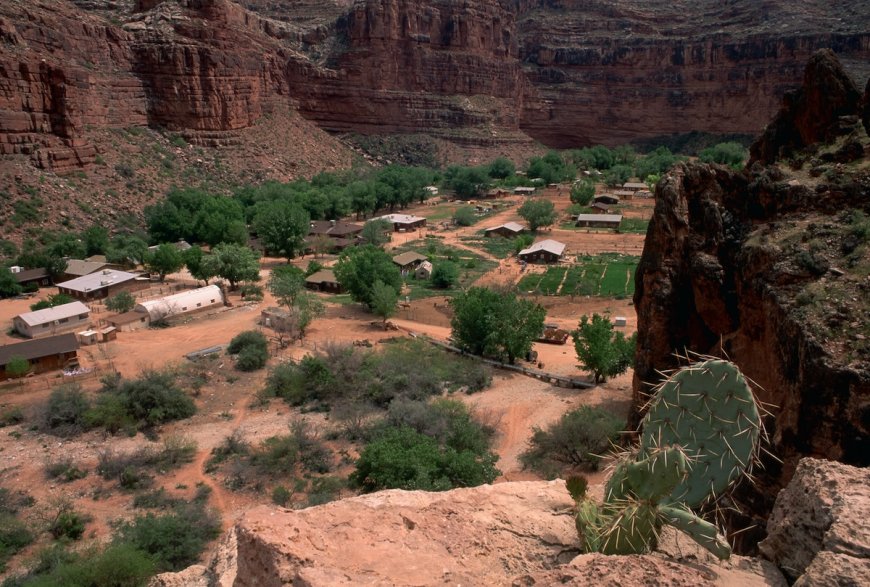 Viral Video: ‘Did Y’all Know People Live in the Grand Canyon?’