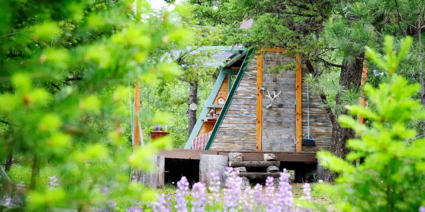 Host of the Month for September 2023 | Alla & Garrett | Montana