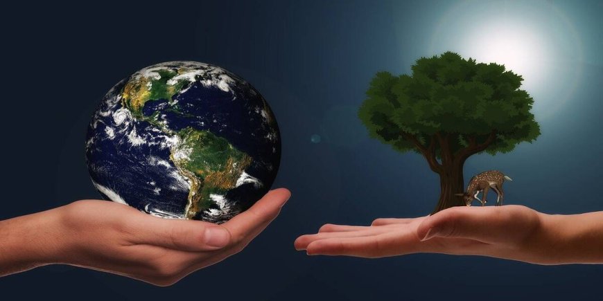 How to Support World Habitat Day, 2023