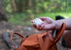 ‘Never Hike With AirPods’: Volume up to Hear This Hiker’s Reason